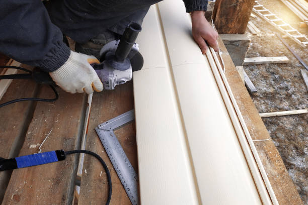 Best Fascia and Soffit Installation  in Chapel Hill, TN