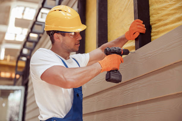Best Stone Veneer Siding  in Chapel Hill, TN